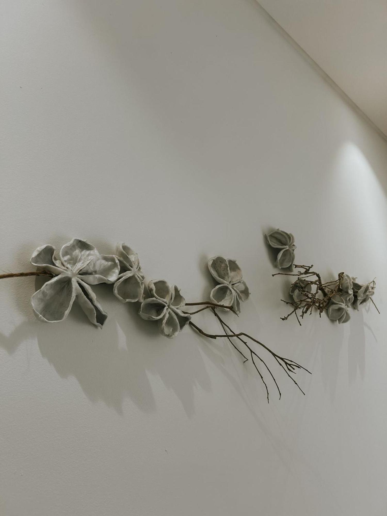 Moledo  Refugio Da Rainha Bed & Breakfast エクステリア 写真